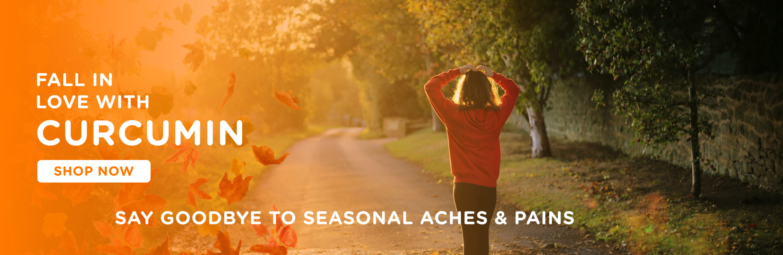 fall-banner